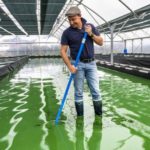 jeune-et-rand-ocean-un partenariat-exceptionnel-avec-hugo-de-spiruline-en-retz